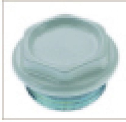 1-1/4" Sx beyaz kör tapa